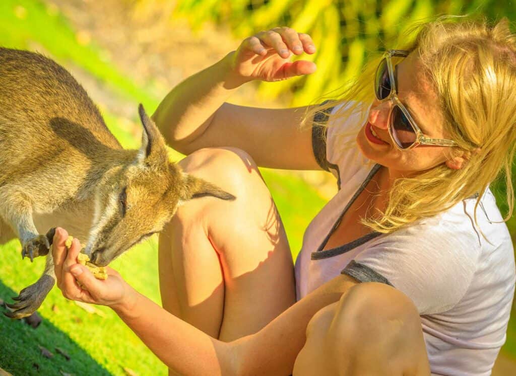woman-feeding-kangaroo